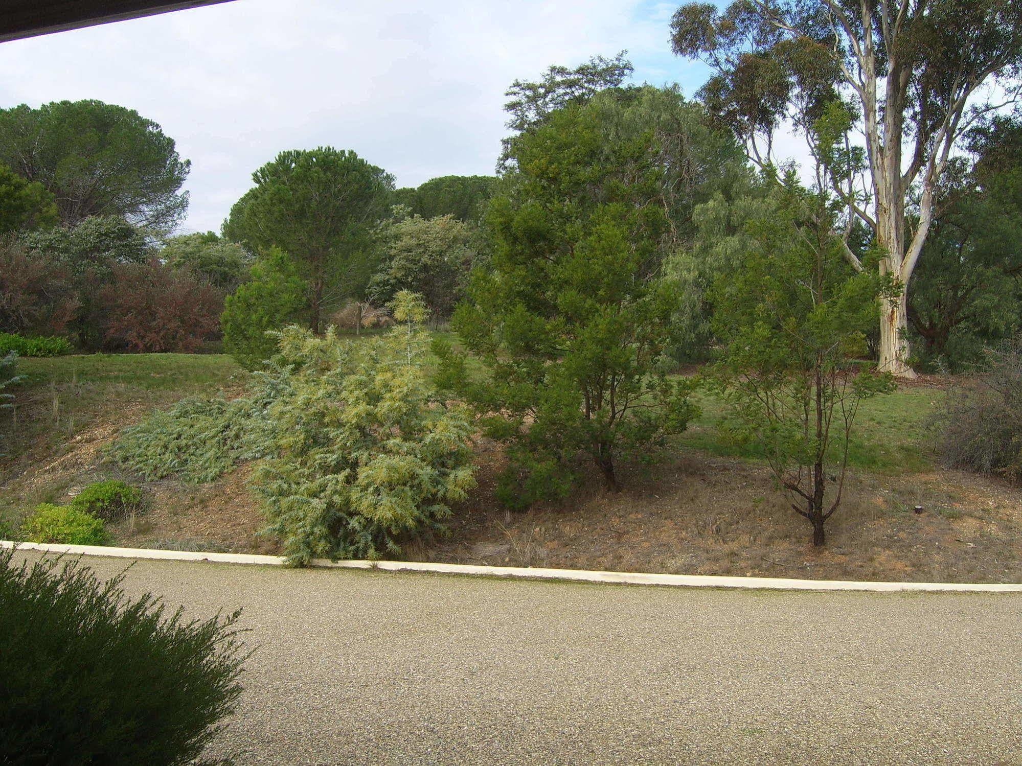 Garden Motor Inn Gundagai Exterior photo