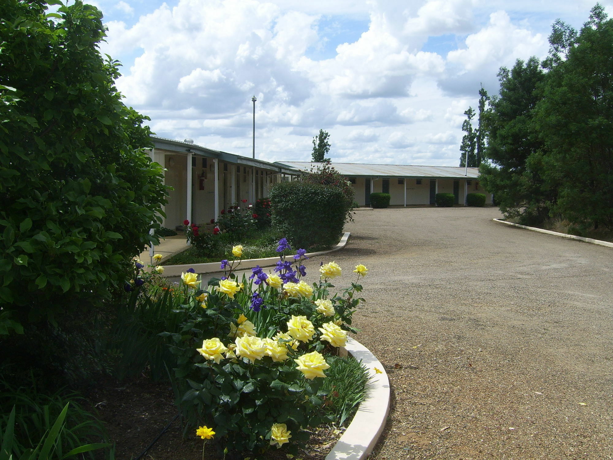 Garden Motor Inn Gundagai Exterior photo